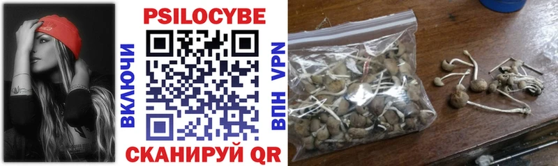 Галлюциногенные грибы Cubensis закладка KRAKEN сайт Среднеколымск